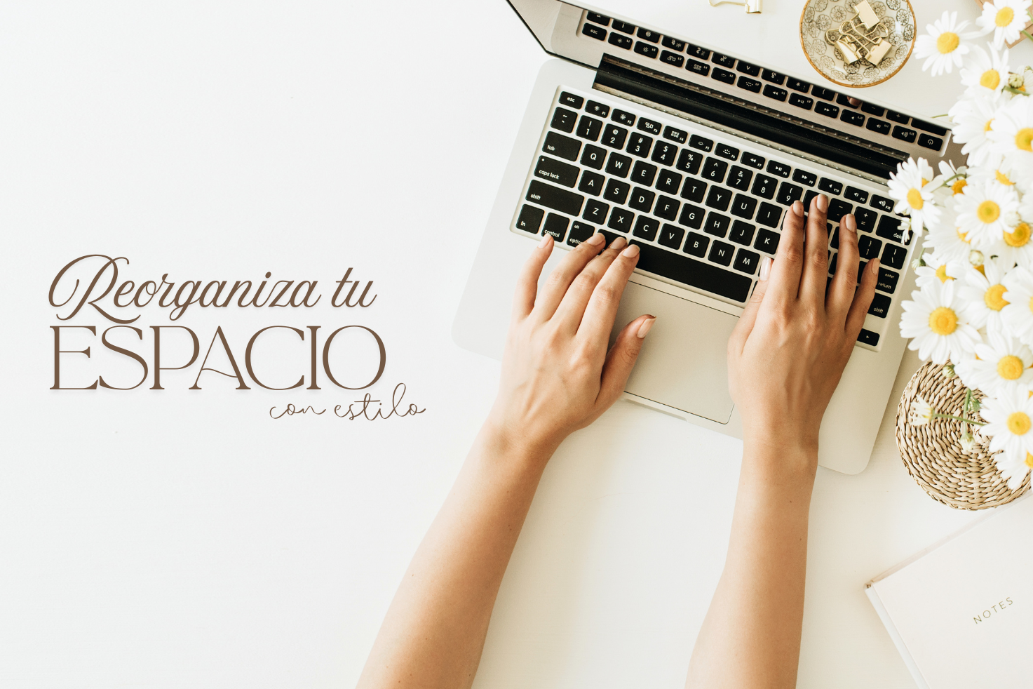 Vuelta al trabajo o a clase: organiza tu escritorio con estilo 📒🪴