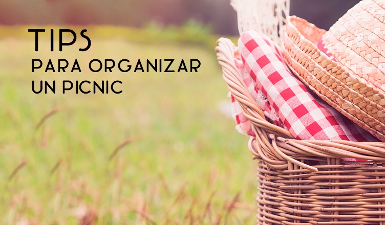 Tips para organizar un picnic